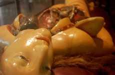 Lifelike Entrails Exhibits