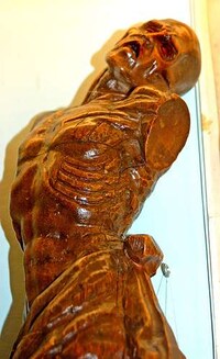 Lifelike Entrails Exhibits Image 2