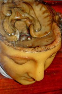 Lifelike Entrails Exhibits Image 3