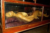 Lifelike Entrails Exhibits Image 4