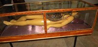 Lifelike Entrails Exhibits Image 7