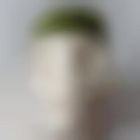 Cushioned Skull Containers Image 1