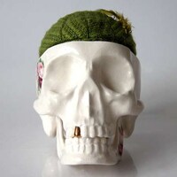 Cushioned Skull Containers