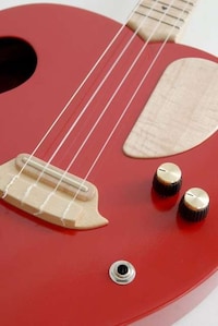 Eclectic Food Shaped Instruments Image 6