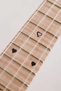 Eclectic Food Shaped Instruments Image 7