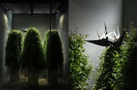 Boxed Botanical Sculptures Image 4
