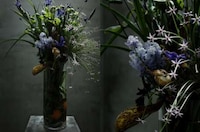 Boxed Botanical Sculptures Image 5