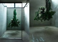 Boxed Botanical Sculptures Image 8