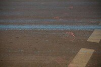 Real-Life Art Attacks Image 4