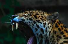 Poop-Powered Zoos
