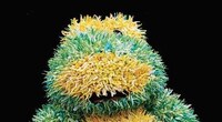 Explosive Plushies Image 5