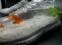 Fishy Footwear Image 3