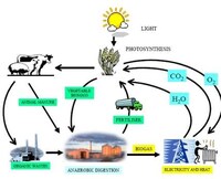 Energy from Manure Image 2