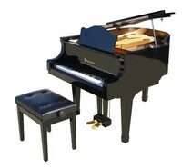 Itty-Bitty Grand Pianos Image 4