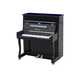 Itty-Bitty Grand Pianos Image 5