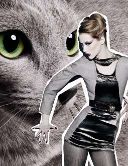 Catty Cosmetics