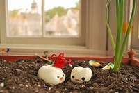 Baby Tooth Mockumentaries Image 8