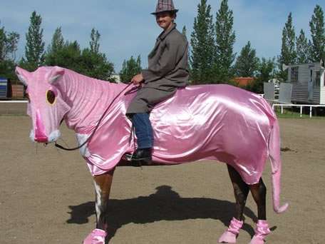 Equine Dress-Up