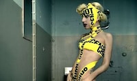 Academic Pop Star Studies Image 7