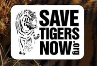 Animal-Saving Celebrities Image 2