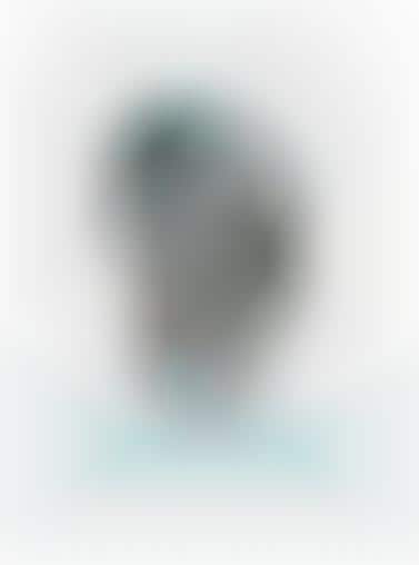 Natural Facelifts