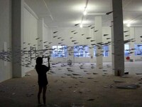 Spiky Paper Airplanes Image 3