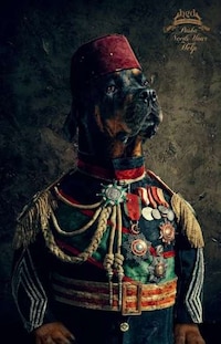 Canine Royalty Image 3