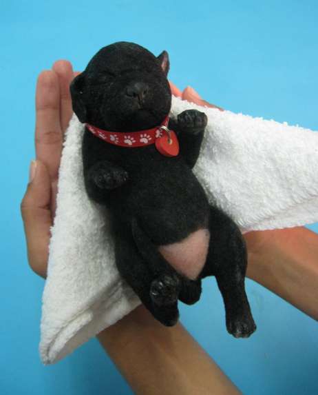 Newborn Puppy Bots