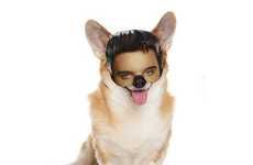 65 Odd Dog Innovations