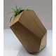 Geometric Planters Image 2