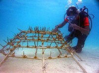Reef Restoration Plans Image 6