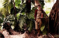 Naturalist Editorials Image 2