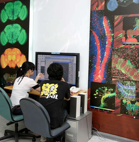 Mandatory Environmental Education