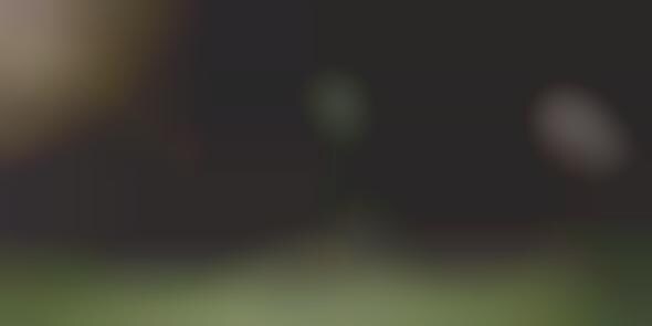 Statuesque Soccer Ads