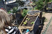 Shopping Cart Farms Image 3