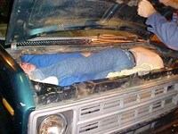 Human Trafficking Fails Image 2