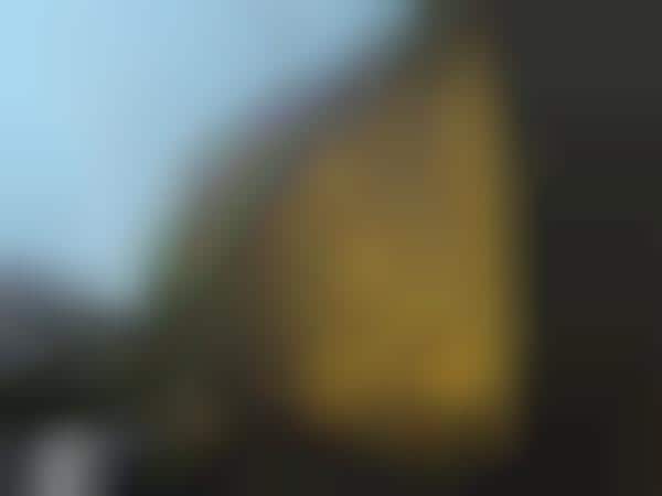 Pixelated Portrait Posters