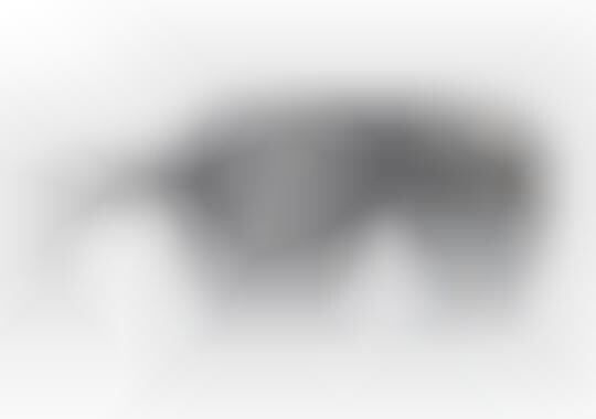 3D Sunglasses