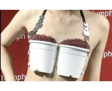 40 Crazy Bras