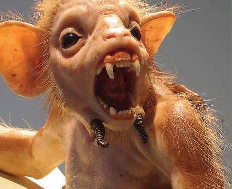 50 Strange Animal Art Innovations