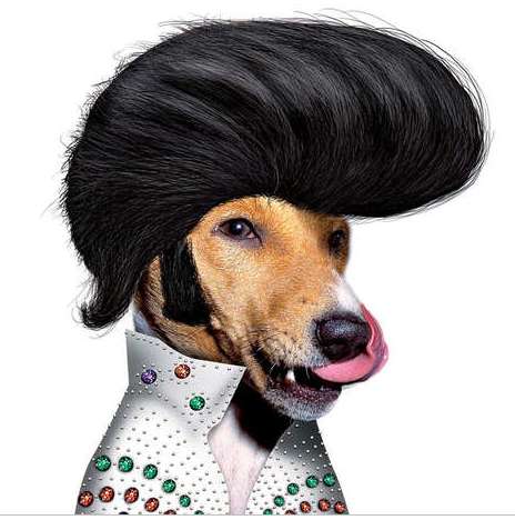 36 Odd Humanimal Examples