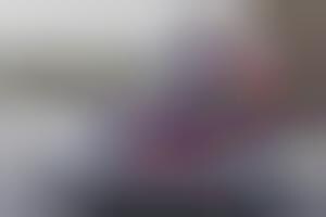 bruce springsteen nike sb