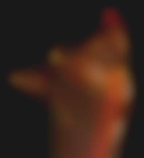 Motion Detection Consoles