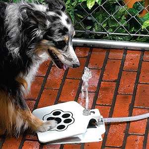 Pet Water Fountains