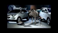 Car Show Spoof Ads Image 2