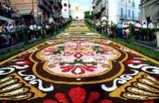 Flowering Carpets
