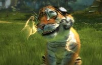 Virtual Tiger Pets Image 2