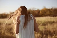 Summer Sun Pictorials Image 4