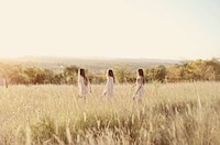 Summer Sun Pictorials Image 5