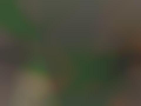 Loud Instrumental Apps